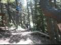Vallnord cortado woodpark y cedric