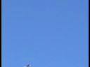 New F22 Raptor