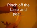How to Correctly Peel a Banana