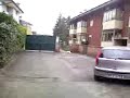 ronnydile cat dog tree micia afraid paura udine friuli gattina