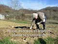 En busca de Menconico Capitulo 4