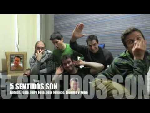 5 sentidos son - Los sentidos