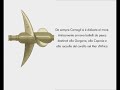 Musei del mare_Museo Ferrari Camogli (parte 1 di 3)