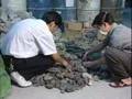 Carving Agates 1