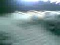 videos de QUILMES