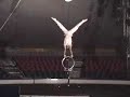 silk and handbalancing