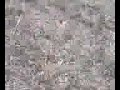 Thumbnail #1