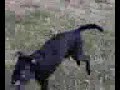 Thumbnail #2