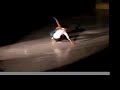 U of I Ice Exhibition Pairs Skate