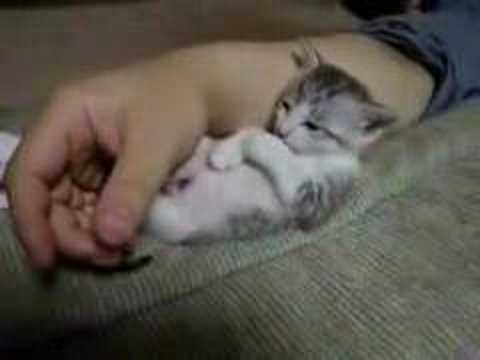 The Sleeping Factor