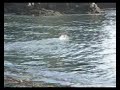 Jones goes surfing