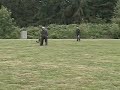 Delta v Trostberg - SchH1 C Part 2.wmv