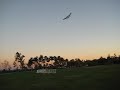 Aero Ace Sport maiden