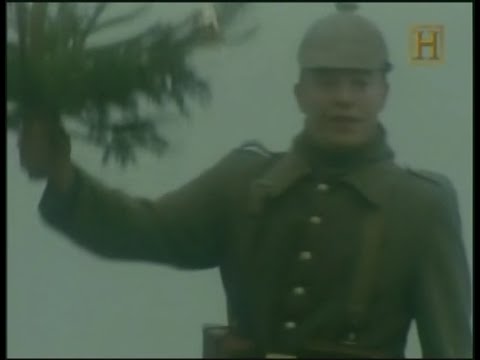 Imatge de previsualització de YouTube