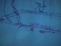 extrait de lignes, cr�ation de bruno letort au festival via (mons).
interpr�t�e par kumi okamoto, l'ensemble musiques nouvelles et bruno letort dirig�s par jean-paul dessy. sur les illustrations de denis deprez anim�es en temps r�el par yuki kawamura.