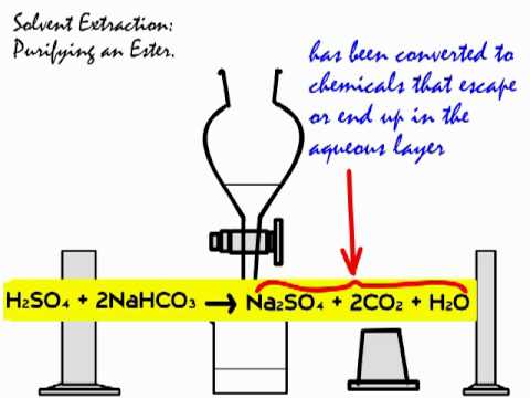 how to isolate and purify esters