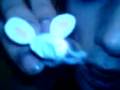 Hareth Winemouse