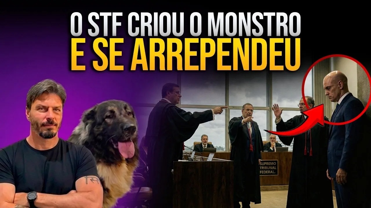 OI LUIZ - OS MELHORES VÍDEOS DO DOMINGO ( REPRISE )