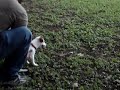 See video