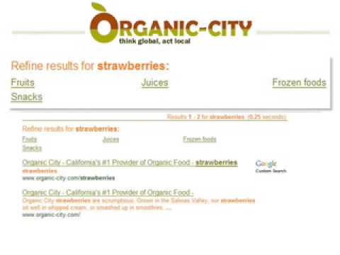 Korte uitleg Google Custom Search (Business Edition)