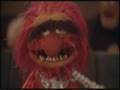 Muppets-Animal