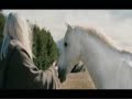 Come to Hobbit Country
