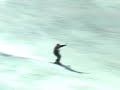 20052006season-ski-circle-hotdog.html