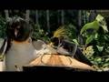 SURF´S UP Filmclip `Het maken van een surfboard´