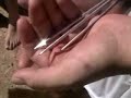 x trem spear fishing x trem spear fishing