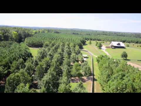 750 acres Sweet Water, AL