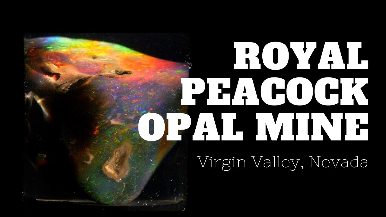 A Brief History of the Royal Peacock Opal Mine