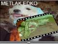 Metlak Edko