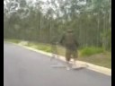 Surf in the montain