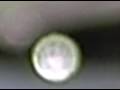 VIDEO INTERACTIVO DISCO GRAN MARTELL