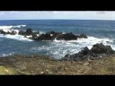 Nikahu - Off the Hana Highway Nikahu - Off the Hana Highway