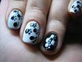 Paw Print!:)