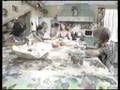 videos de Remexe