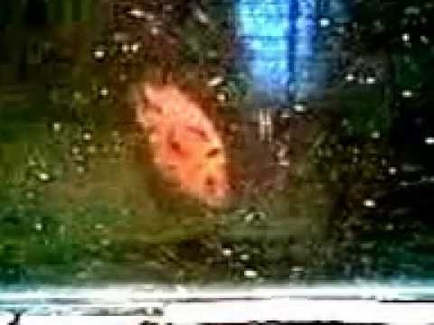 Imagen de previsualización de YouTube