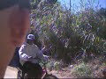 To s� observando (Blumenau)