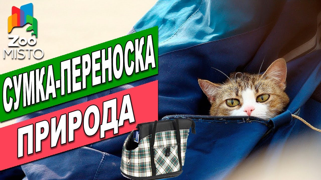 Переноска для кошек Природа | Обзор переноски | Pryroda Cat Carrier review