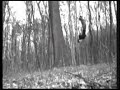 Wallflips Wallflips