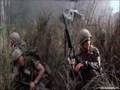 Hamburger Hill