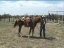 Cowboys ride for the Cure in Las Cruces