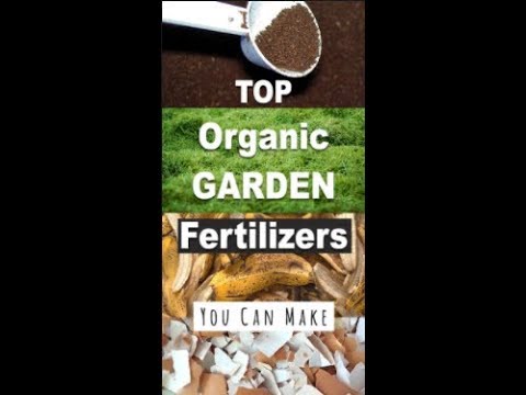 how to fertilize garden