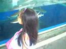 my gorgeous wife and my beautiful daughter watching sharks at ocean park in manila.