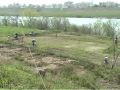 ごはんリレー動画7