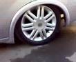 Corsa Abelbeetle