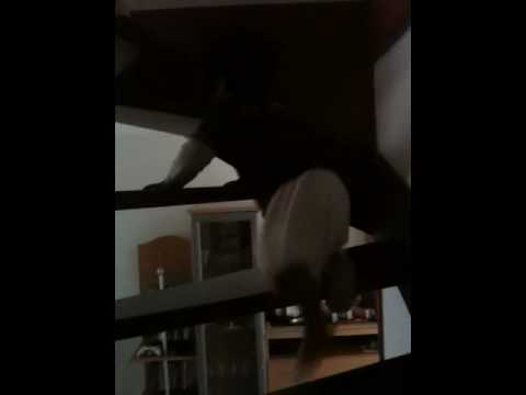 Ke atas up up up!
