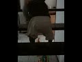 Ke atas up up up!