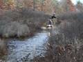 videos de Wheeling